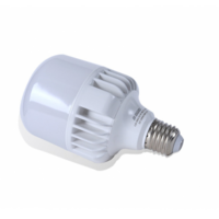LED SIJALICA 30W E27 6500K S22 HP 100088