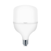 LED SIJALICA 30W E27 6500K T100-PLS BA13-33023